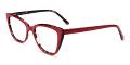 Leominster Eyeglasses Side