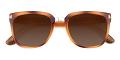 Springfield Prescription Sunglasses Face