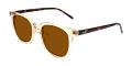 Florissant Prescription Sunglasses Side