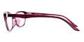 Baton Rouge Eyeglasses Leg