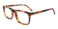 Des Moines Eyeglasses Side