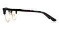 Santa Clarita Eyeglasses Leg