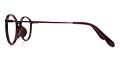 Overland Park Eyeglasses Leg