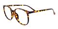 Boston Eyeglasses Side