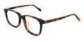 Coral Springs Eyeglasses Side