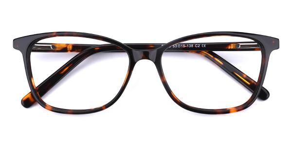 Tampa Eyeglasses