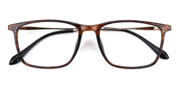 Santa Clara Eyeglasses