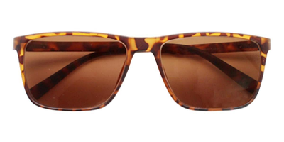 Hickory Sunglasses