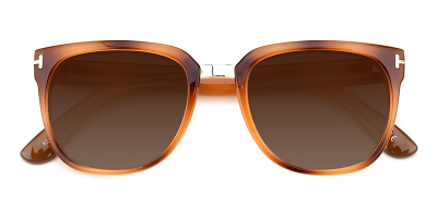 Campbell Sunglasses