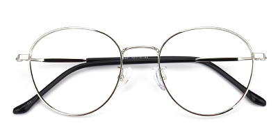 Newton Eyeglasses