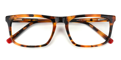 Des Moines Eyeglasses